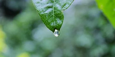 新手玩家7天通关